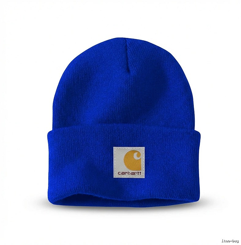 Carhartt basic blue beanie