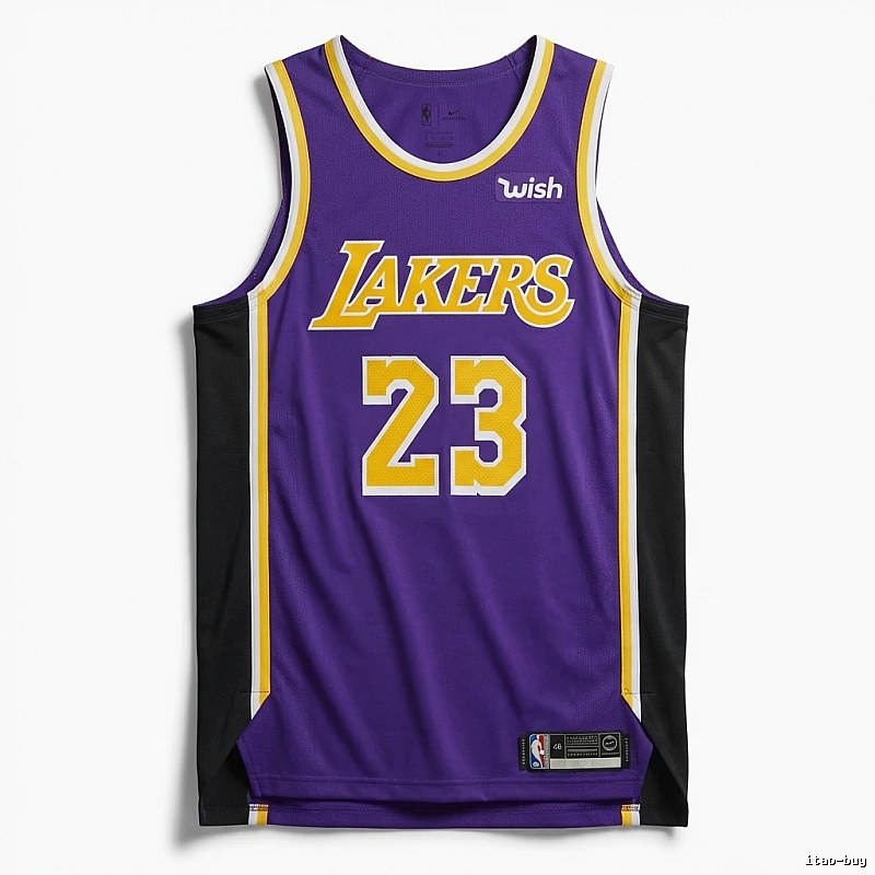 LBJ Lakers retro purple jersey