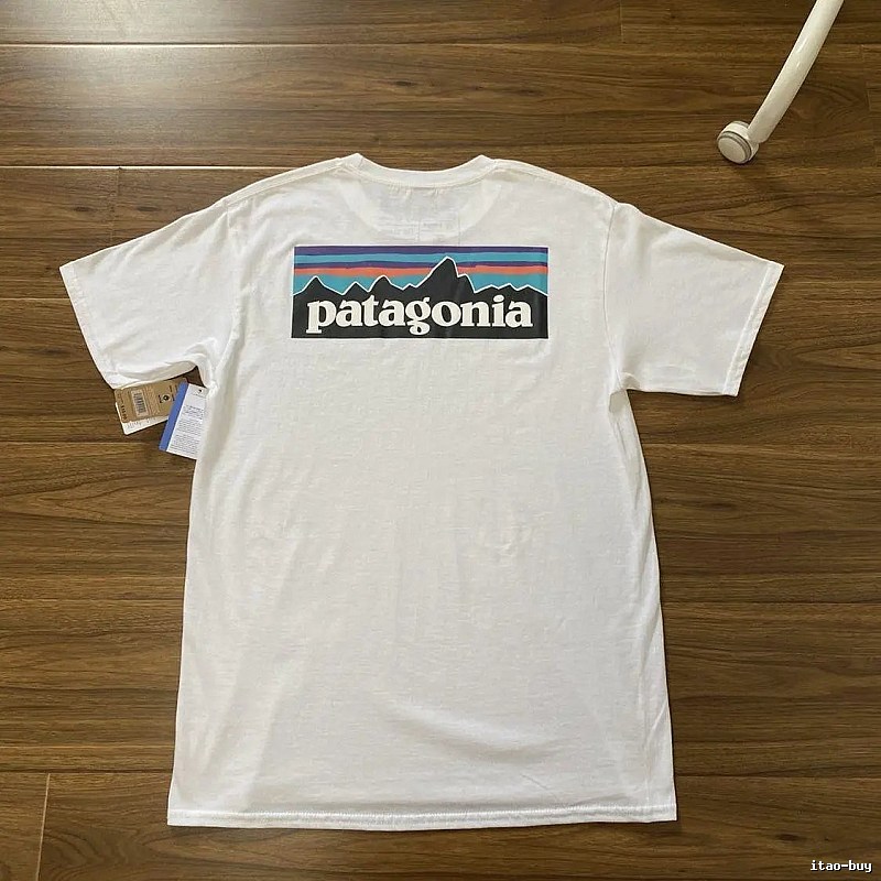 Patagonia White Logo T-Shirt Daily Styling Graphic