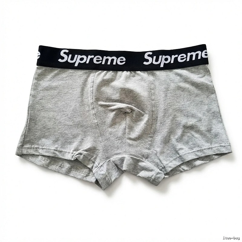 Supreme minimalist light gray underwear